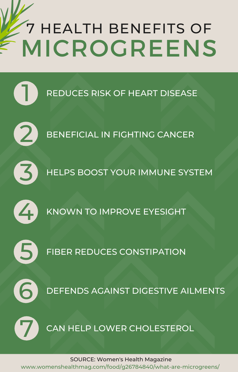 7 benefits of microgreens - one source (2) (1)