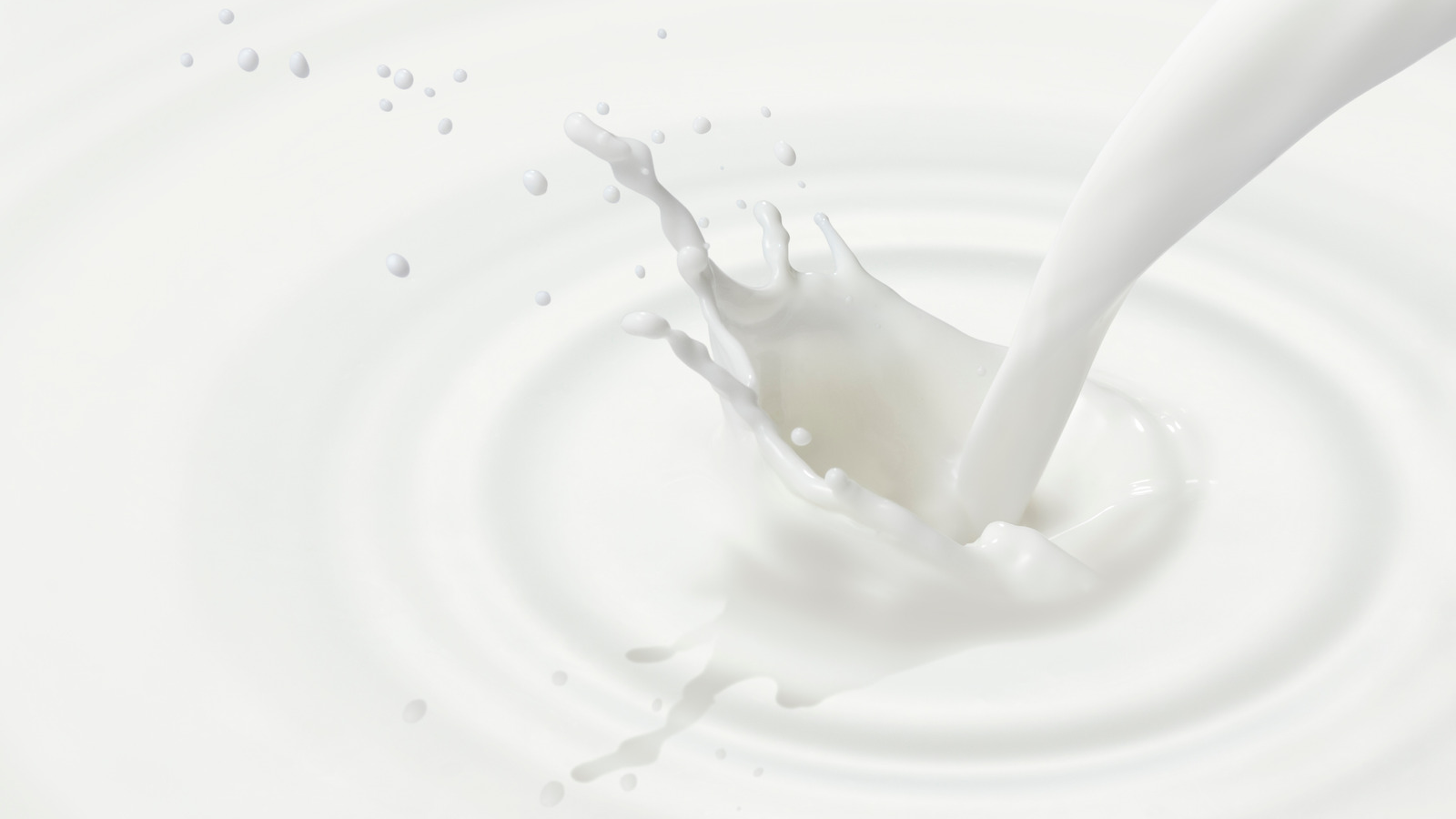 One Source Milk Storage K12 Header Image